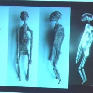 Found 5 alien mummies in Peru?