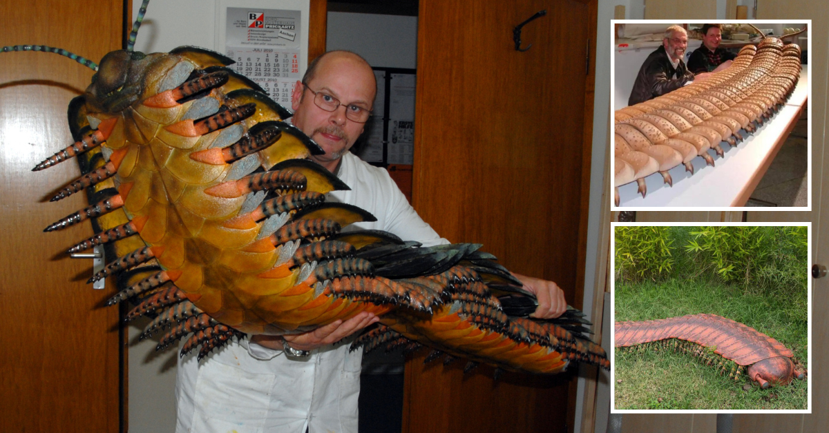 “Arthropleura” The Largest Centipede Ever Found, 2.7 Metre-long 310 Million Years Ago