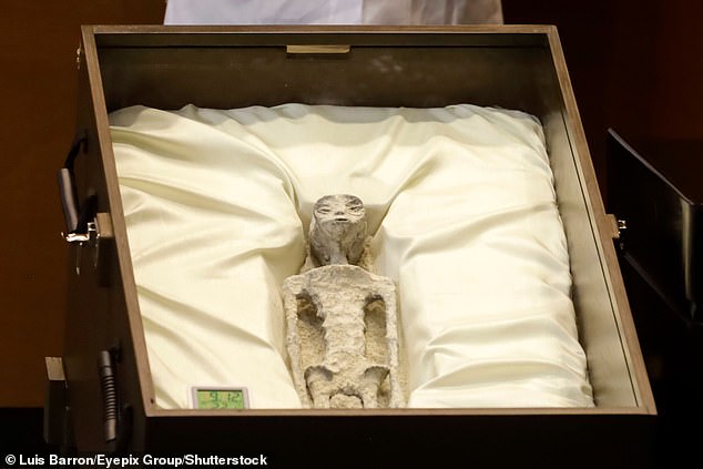 The mummified bodies were presented to pH๏τojournalists and deputies at Mexican congress