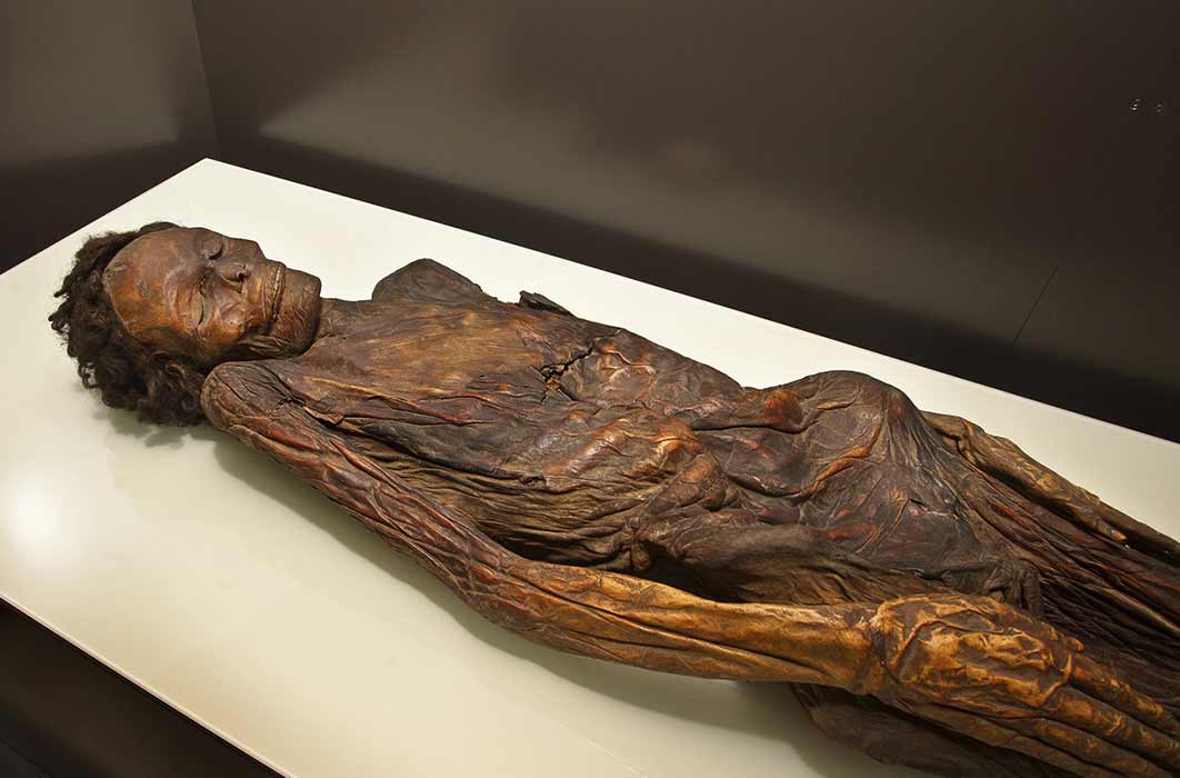 The Guanche mummy from Barranco de Herques belonged to an adult male aged around 35-40 years old.