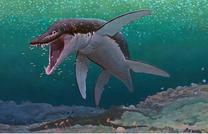 170-Million-Year-Old Sea Monster Identified As The Oldest Mega-Predatory Pliosaur