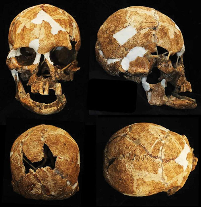 Curious 6,000-Year-Old Skull May Confirm Mythical Ancient Tribe Of Small People Did Exist!