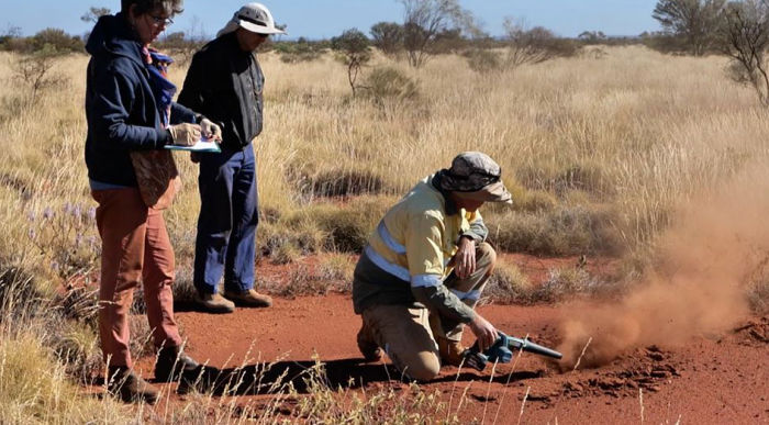 Aboriginal Art And Knowledge Unlocks Mystery Of Fairy Circles 