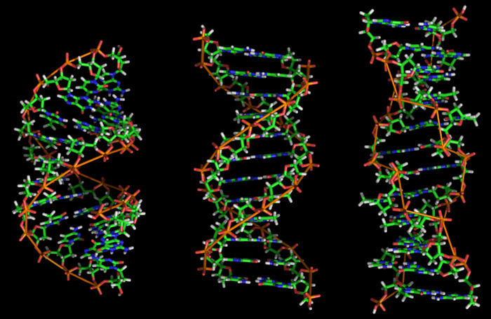 Humans Carry DNA From An Ancient, Unidentified Ancestor - Scientists Say