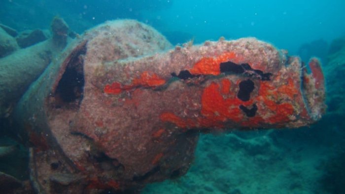 Remains Of A 2300-Year-Old Sunken Ship Discovered At Alamein Off The Shore