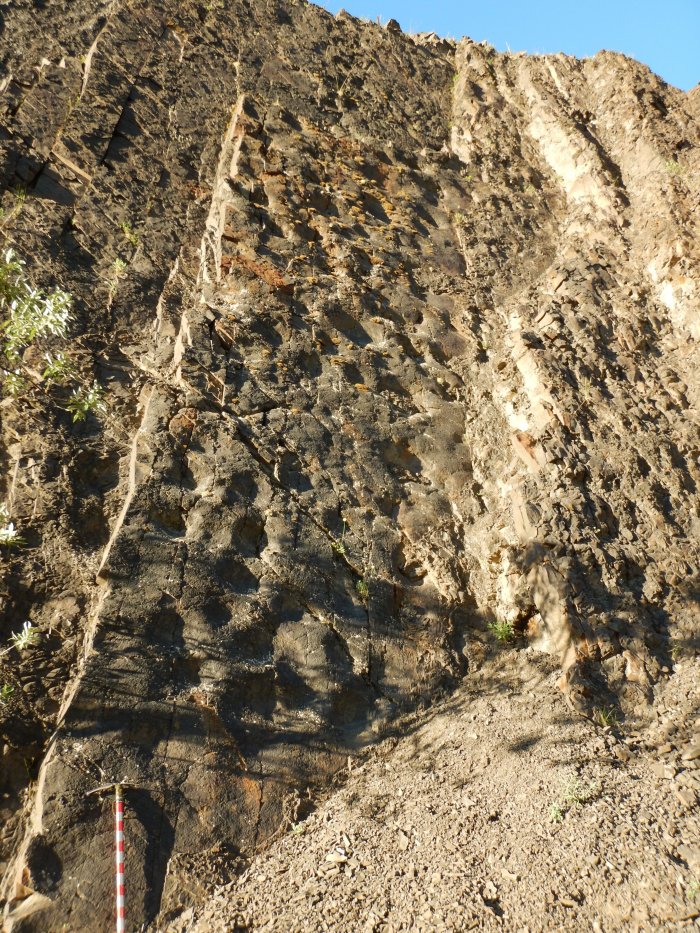 Largest Known Single Dinosaur Track Site In Alaska Discovered And Documented