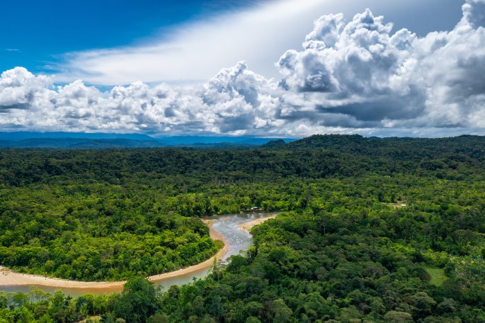 LIDAR Discovers Lost Ancient Cities Older Than Any Known Complex Amazonian Society