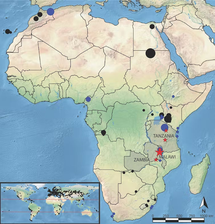 Ancient DNA Helps Reveal Social Changes In Africa 50,000 Years Ago That Shaped The Human Story