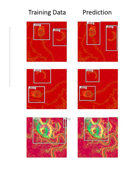 Never-Before-Seen Archaic Shell Rings Left By Indigenous People Revealed By Remote Sensing And Machine Learning