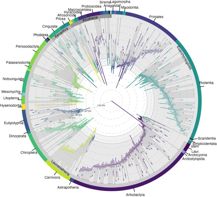 Humans' Ancestors Survived The Asteroid Impact That Killed The Dinosaurs - Fossils Reveal