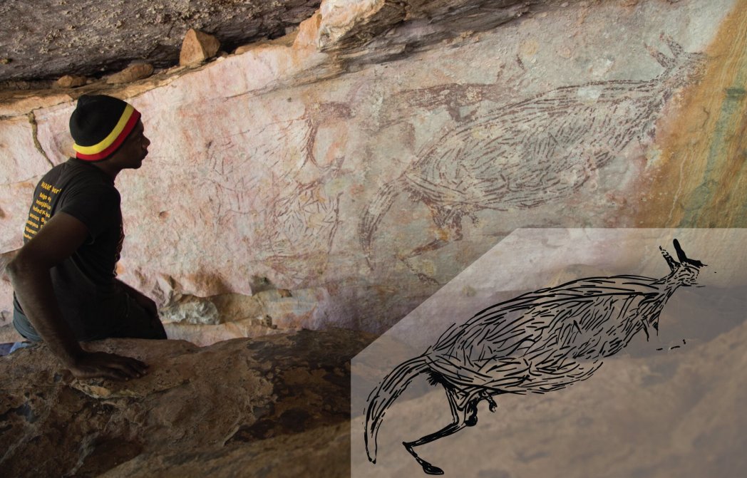 Traditional Owner Ian Waina inspecting a Naturalistic painting of a kangaroo, determined to be more than 12,700 years old based on the age of overlying mud wasp nests. The inset is an illustration of the painting above it. Credit: Photo: Peter Veth and the Balanggarra Aboriginal Corporation, Illustration: Pauline Heaney