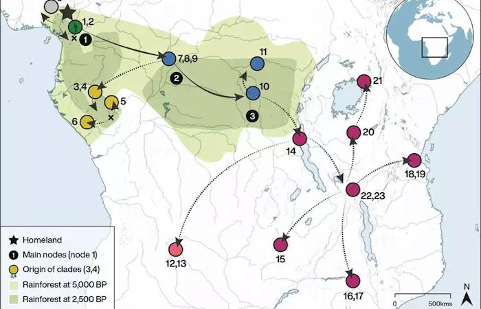 Early Bantu Speakers Crossed Through The Dense Central African Rainforest 4,000 Years Ago