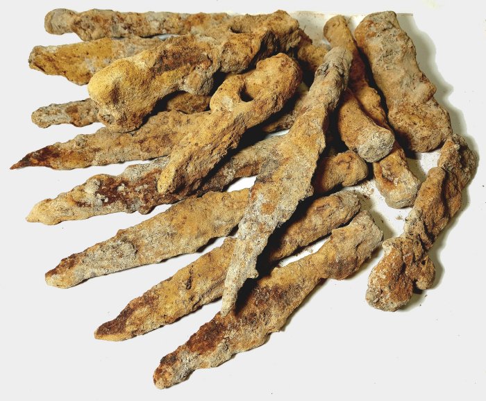 Weapons Left By Barbarian Tribes Discovered In Polish Forest