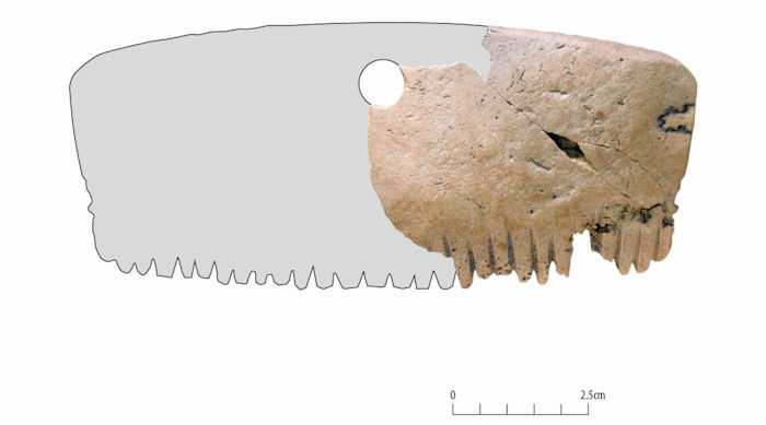 Mystery Of The Bar Hill Comb Solved