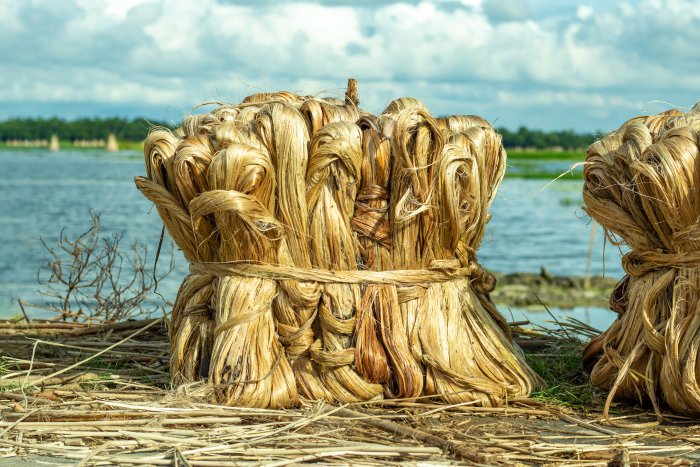 This Is One Of The Oldest Pieces Of Cloth In The World And It's Made Of Bast Fibres!