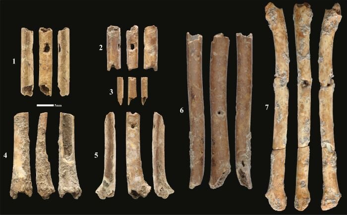 12,000-Year-Old Flutes Made From Bird Bones - Discovered