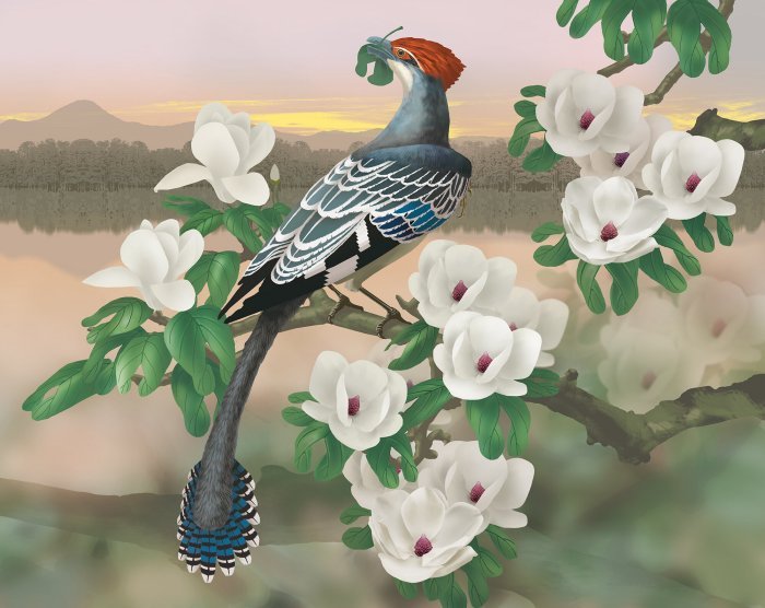 Reconstruction of the extinct, tree-living, vegetarian early Cretaceous bird Jeholornis eating leaves. Credit: IVPP