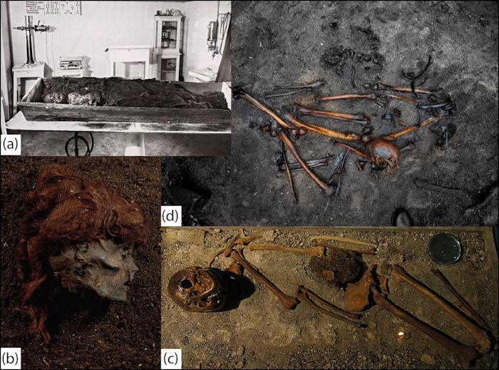 Mystery Of Europe's Bog Body Phenomenon Solved By Scientists