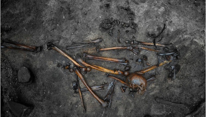 1,000 Bog Bodies From Across Scandinavia Reveal More Ancient Secrets - Here's What Scientists Found