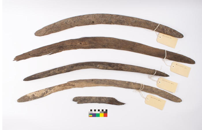 Rare Ancient Boomerang Collection Sheds New Light On Australia's Past