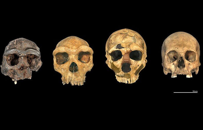 Mystery Of The Boxgrave Humans - Fossils In The UK Reveal How Ancient Europeans Were Connected