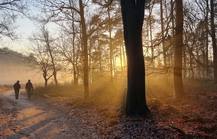 More Than 1,000 New Burial Mounds Discovered In The Netherlands