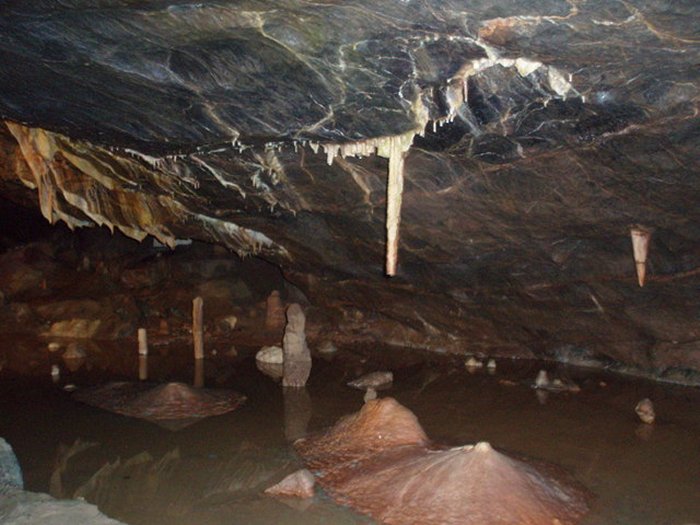 Oldest Evidence Of Human Cannibalism Found In Gough's Cave