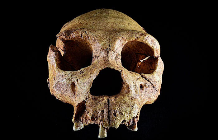 600,000-Year-Old Finds Reveal Canterbury Was Home To Britain's Earliest Humans