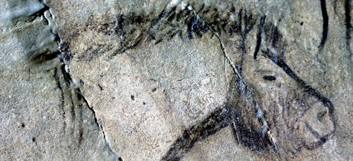 Cryptic Ice Age Markings In European Caves Deciphered - Proto-Writing Discovered By Amateur Archaeologist