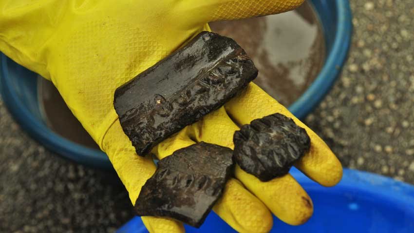 Ceramic fragments unearthed on site