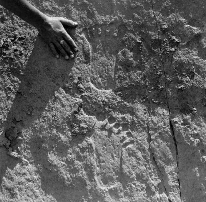 Ancient People In Chaco Canyon Who Had Six Fingers And Six Toes Were Special - Researchers Say