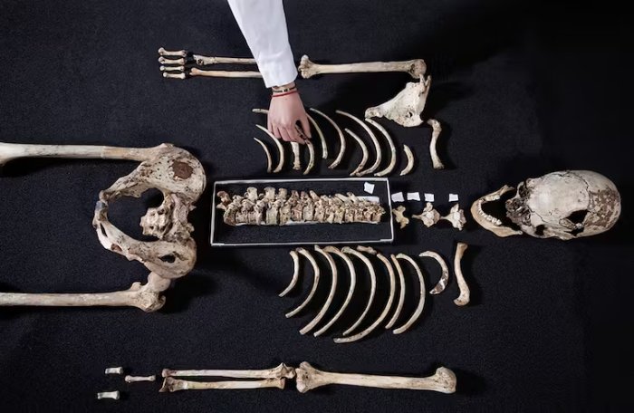 5 Surprising Things DNA Has Revealed About Our Ancestors