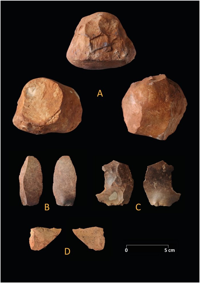 Lithics from the Middle Paleolithic layers of zone 3. A: Quartzite core or heavy duty tool, B: Blade, C: Levallois flake, D: Sidescraper. Credit: Ramos-Muñoz et al., 2022, PLOS ONE, CC-BY 4.0 (creativecommons.org/licenses/by/4.0/)