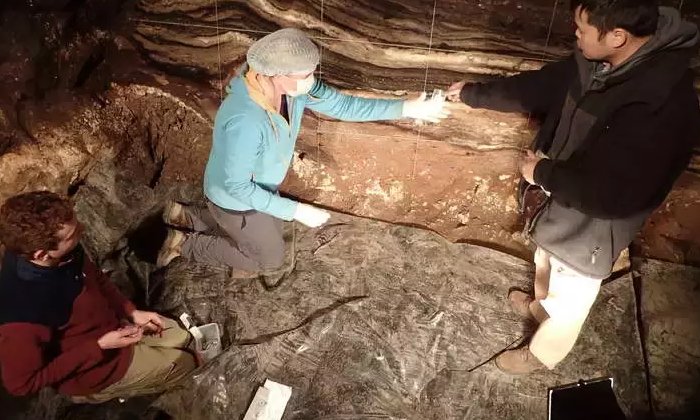 Researchers Zenobia Jacobs, Bo Li and Kieran O'Gorman collecting sediment samples in the South Chamber. © Credit: Dr. Richard G. Roberts