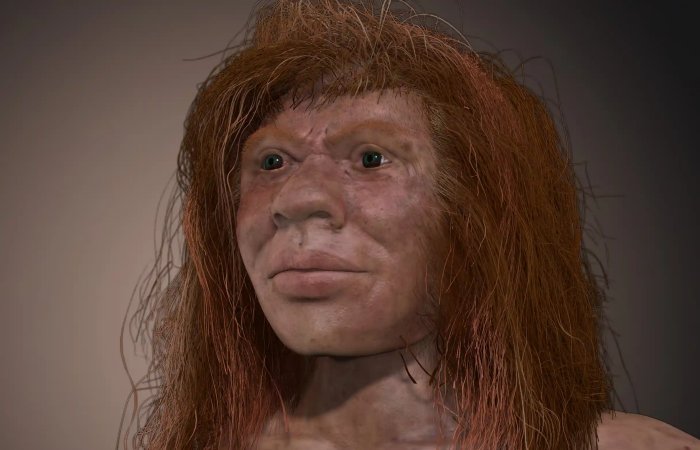 Mysterious Denny - 90,000-Year-Old Child Whose Parents Were Two Different Human Species