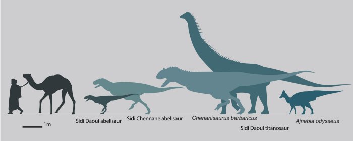 New Fossils Of Primitive Cousins Of T. Rex Shed Light On The End Of The Age Of Dinosaurs In Africa