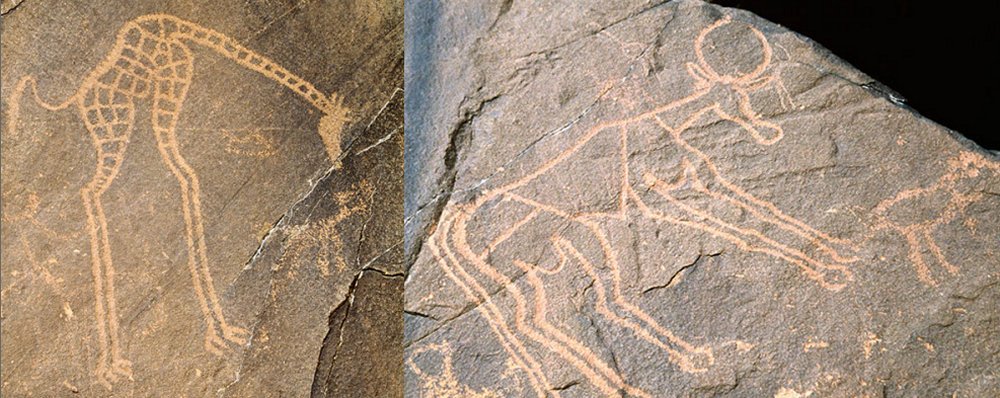 Rock art in form of carvings and paintings of mostly animals and vegetation and dated 3,500 to 2,500 BC, was found in the Aïr Mountains in northeastern Niger, not far from the city of Djado. Image credit: http://africanrockart.org