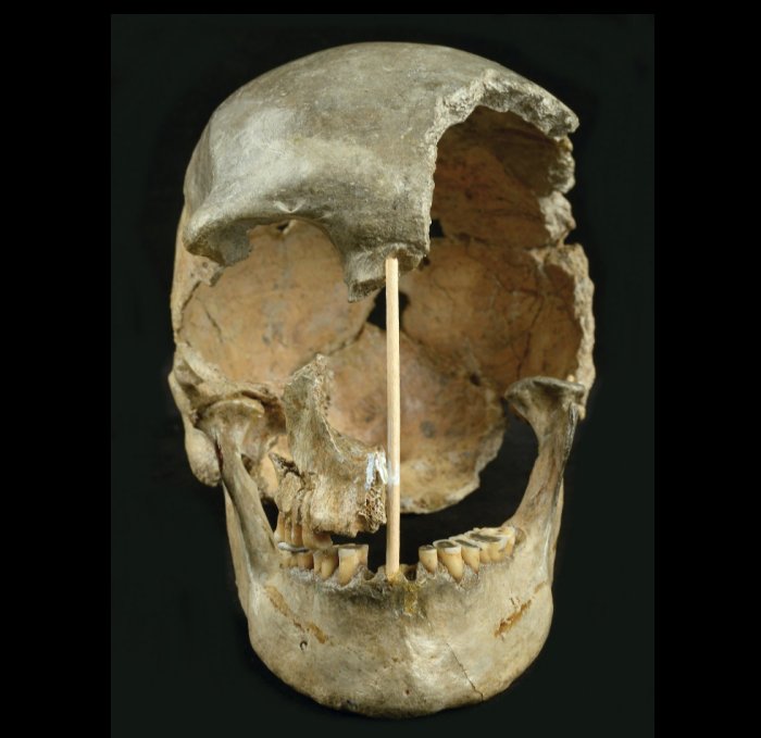 Initial attempts to date Zlatý kůň based on the shape of her skull suggested she was at least 30,000 years old. Researchers now believe she lived more than 45,000 years ago. Martin Frouz