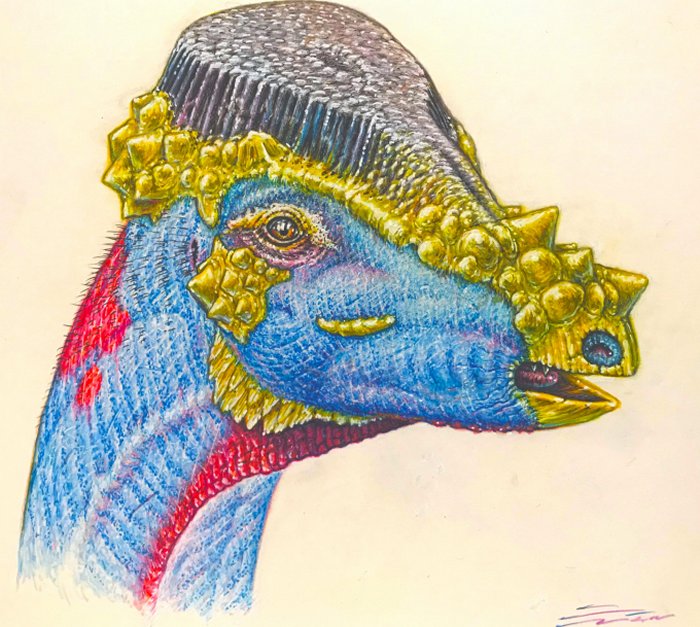 Newly Described Species Of Dome-Headed Dinosaur May Have Sported Bristly Headgear