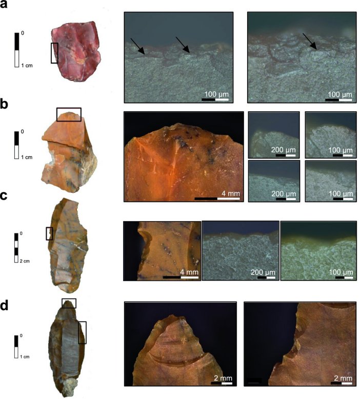 Use-wear traces found on lithic artifacts from Românești-Dumbrăvița I, GH3. (a) Localized microfracturing and compact polish of the lateral edge characteristic of hard animal material scraping (on the right side, 10 × and 20 × objective); (b) Abrasive polish and rounding of the distal end of the ventral surface characteristic for hide-scraping (on the right side, 10 × and 20 × objective); (c) Striated and extensive polish on the ventral surface of a steeply notched lateral edge characteristic of wood scraping (on the right side, 10 × and 20 × objective); (d) Macrofracture traces found on a lithic artifact. (left) spin-off fracture initiated on the dorsal distal tip on the lateral side with feather termination. (right) lateral ventral notching and edge scarring. Credit: Scientific Reports (2022). DOI: 10.1038/s41598-022-15544-5