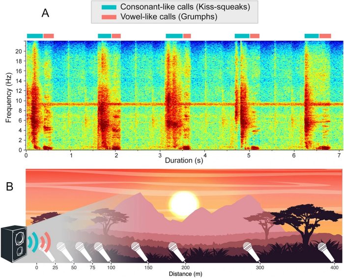 Early Human Communication May Have Been Influenced By Changing African Landscape - Anthropologists Say