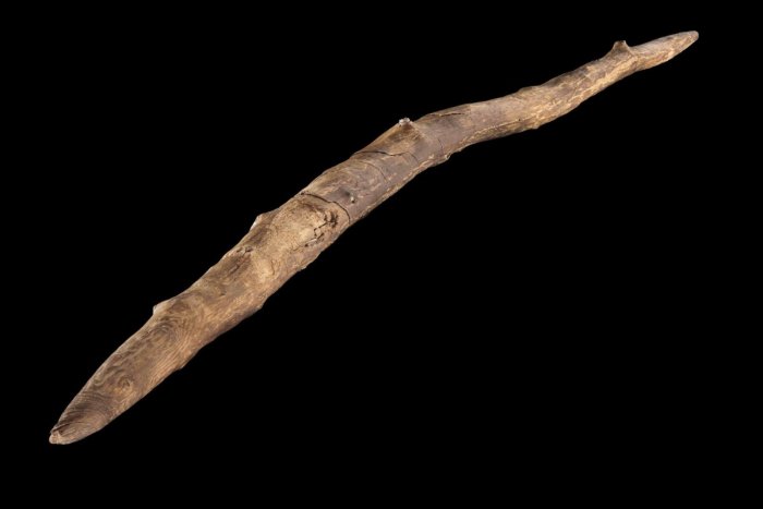 300,000-Year-Old Weapons Reveal Early Humans Were Woodworking Master