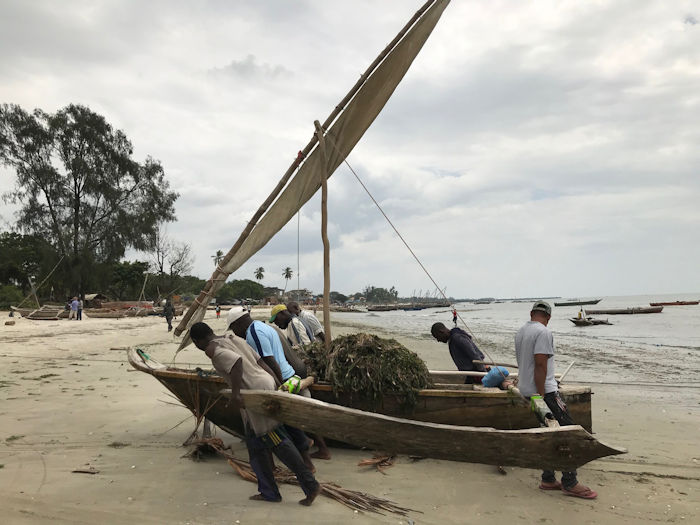 First Detailed Academic Study Of East African Maritime Traditions Shows Changes In Boatbuilding