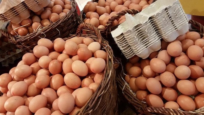 What The Egg Crisis Reveals About Our Food System