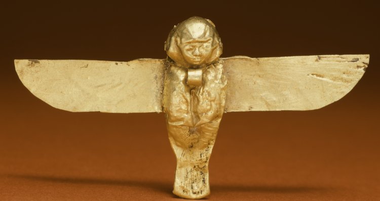 Egyptian Ba bird