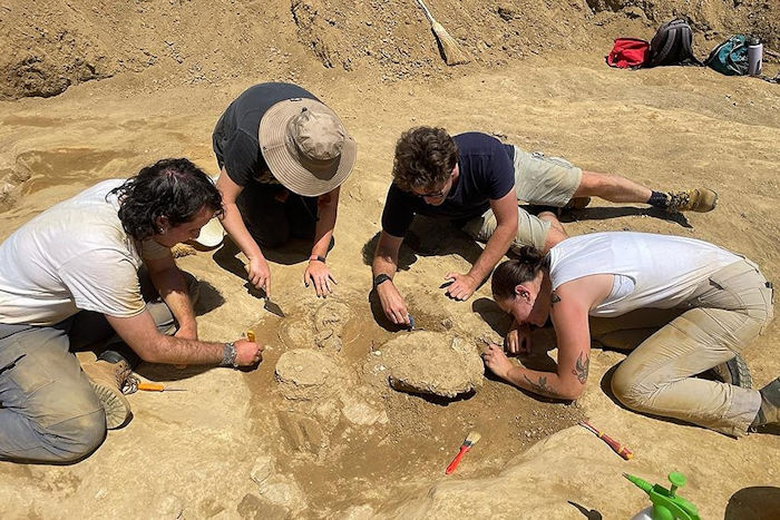 Rare Find Provides New Insight Into Etruscan Life Under Rome