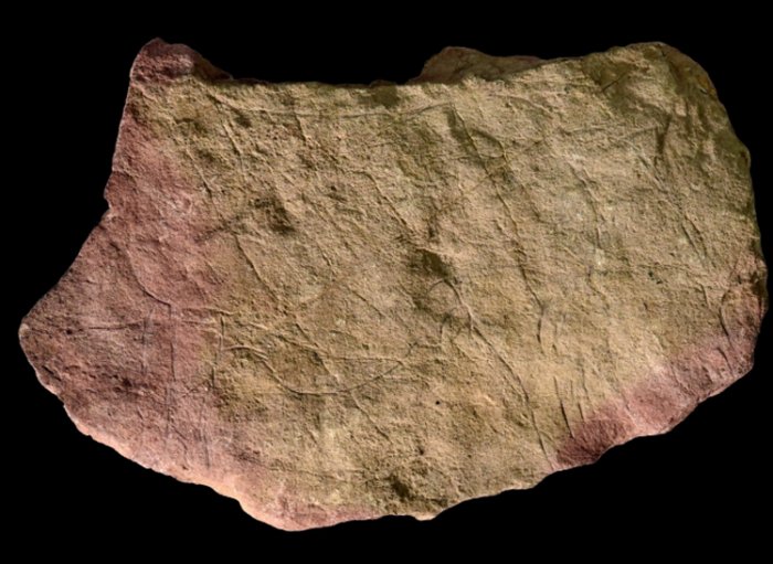 The study looked at a collection of engraved stones, known as plaquettes, which are now held in the British Museum. Credit: Dr Andy Needham, University of York