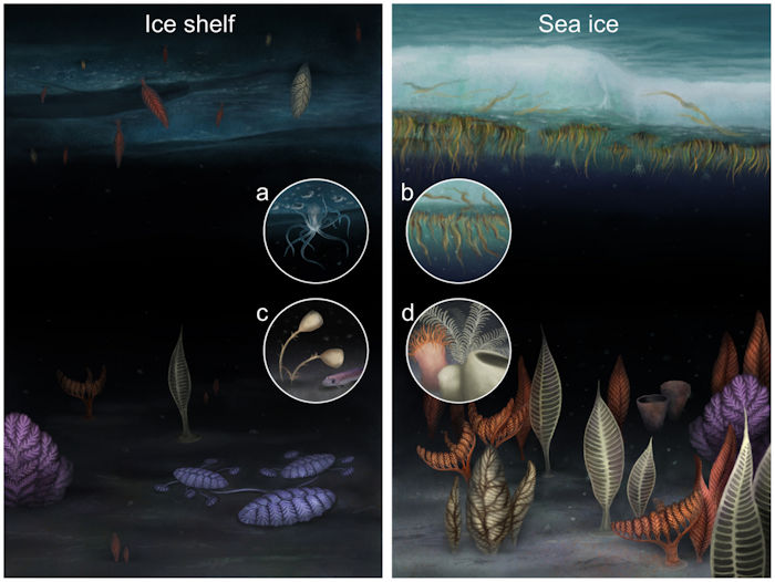 First Animals On Earth Could Have Evolved Much Earlier Than The Oldest Fossils Suggest