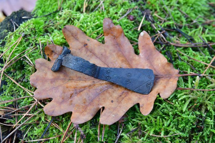 Five Rare Bronze Age Axe Heads Found In Polish Forest