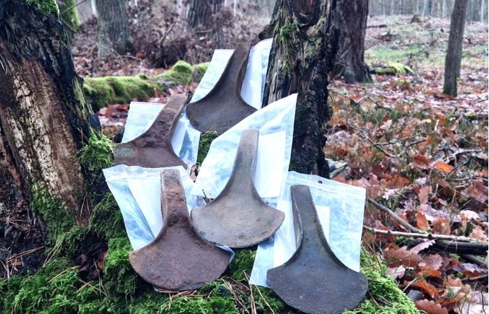 Five Rare Bronze Age Axe Heads Found In Polish Forest